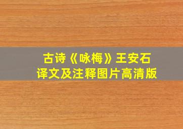 古诗《咏梅》王安石译文及注释图片高清版