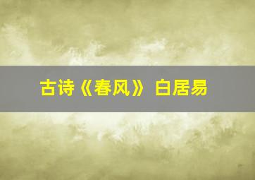 古诗《春风》 白居易