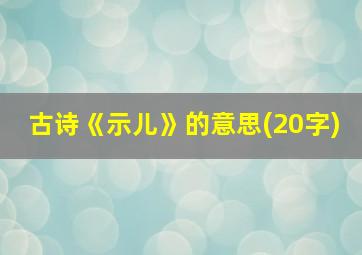 古诗《示儿》的意思(20字)