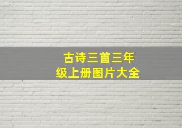 古诗三首三年级上册图片大全