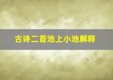 古诗二首池上小池解释