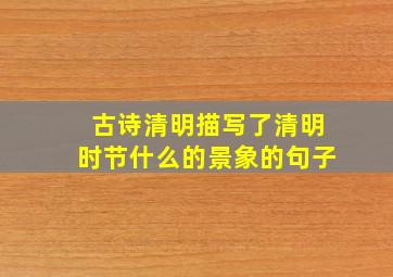 古诗清明描写了清明时节什么的景象的句子