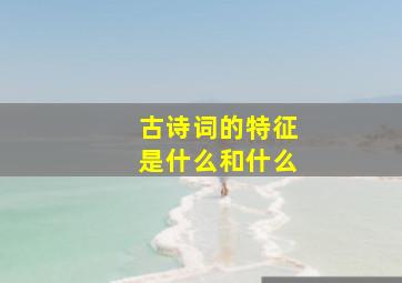 古诗词的特征是什么和什么