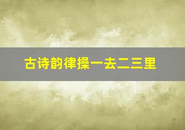 古诗韵律操一去二三里