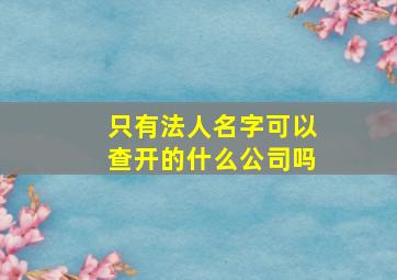 只有法人名字可以查开的什么公司吗