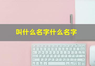 叫什么名字什么名字