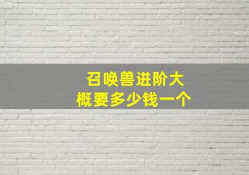 召唤兽进阶大概要多少钱一个