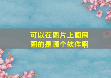 可以在图片上画圈圈的是哪个软件啊