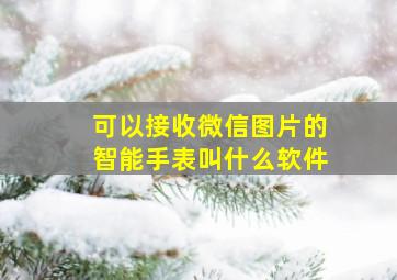 可以接收微信图片的智能手表叫什么软件