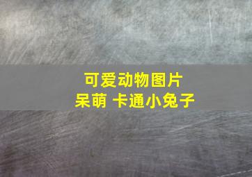 可爱动物图片 呆萌 卡通小兔子