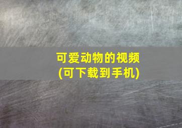 可爱动物的视频(可下载到手机)