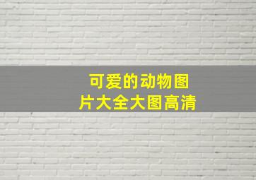 可爱的动物图片大全大图高清