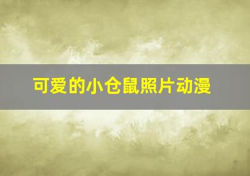 可爱的小仓鼠照片动漫