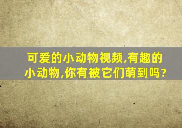 可爱的小动物视频,有趣的小动物,你有被它们萌到吗?