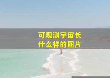 可观测宇宙长什么样的图片