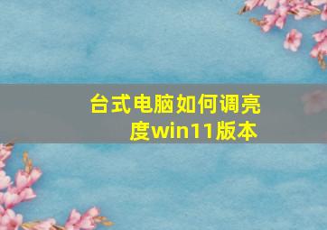 台式电脑如何调亮度win11版本