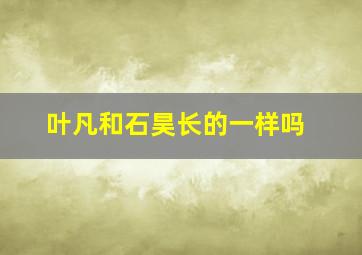 叶凡和石昊长的一样吗