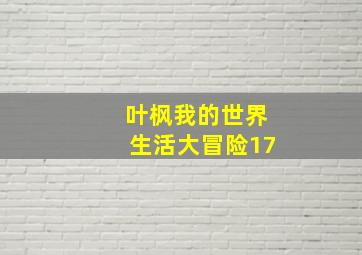 叶枫我的世界生活大冒险17