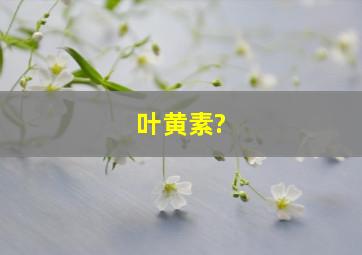 叶黄素?