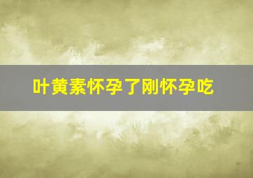 叶黄素怀孕了刚怀孕吃