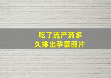 吃了流产药多久排出孕囊图片