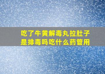 吃了牛黄解毒丸拉肚子是排毒吗吃什么药管用