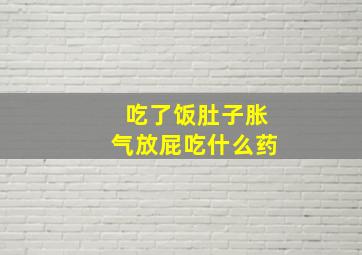 吃了饭肚子胀气放屁吃什么药