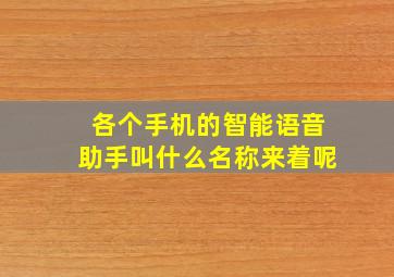 各个手机的智能语音助手叫什么名称来着呢