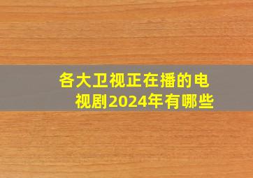 各大卫视正在播的电视剧2024年有哪些