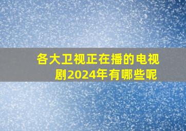 各大卫视正在播的电视剧2024年有哪些呢