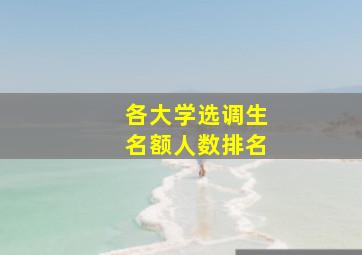 各大学选调生名额人数排名