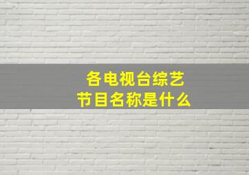 各电视台综艺节目名称是什么