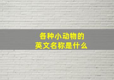 各种小动物的英文名称是什么