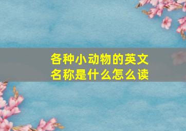 各种小动物的英文名称是什么怎么读