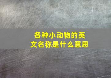 各种小动物的英文名称是什么意思