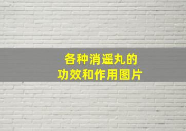 各种消遥丸的功效和作用图片