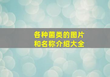 各种菌类的图片和名称介绍大全