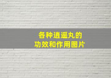 各种逍遥丸的功效和作用图片