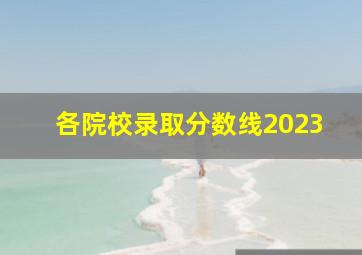 各院校录取分数线2023