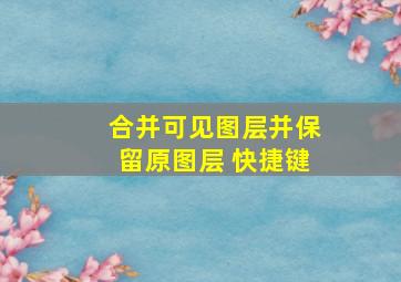 合并可见图层并保留原图层 快捷键