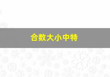 合数大小中特