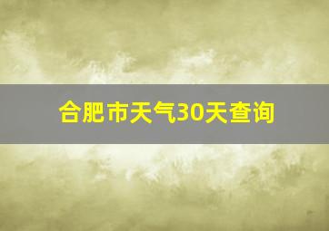 合肥市天气30天查询