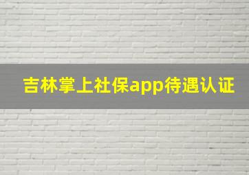 吉林掌上社保app待遇认证