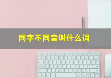 同字不同音叫什么词