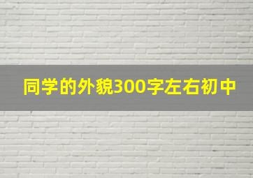 同学的外貌300字左右初中