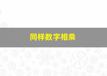 同样数字相乘