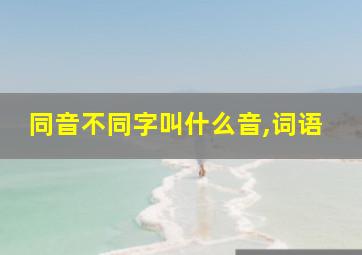 同音不同字叫什么音,词语