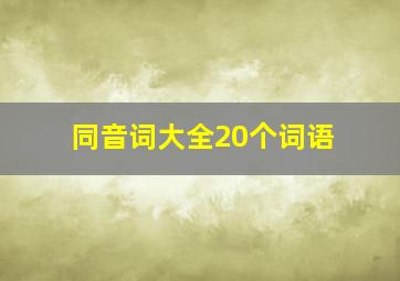 同音词大全20个词语