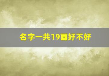 名字一共19画好不好