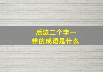 后边二个字一样的成语是什么